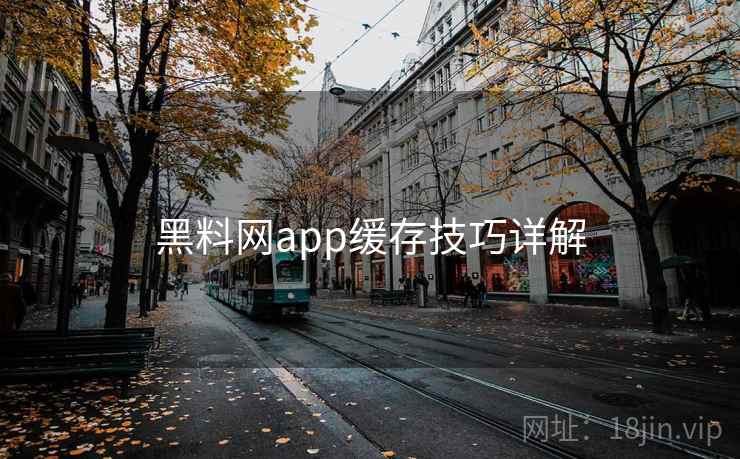 黑料网app缓存技巧详解 黑料网app缓存技巧详解