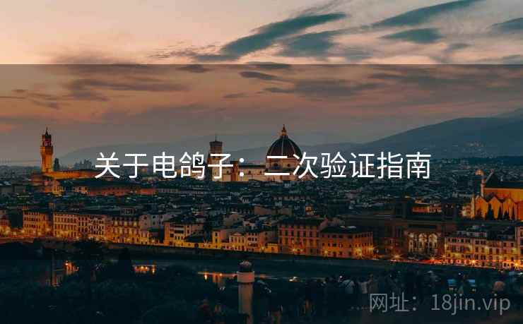 关于电鸽子：二次验证指南