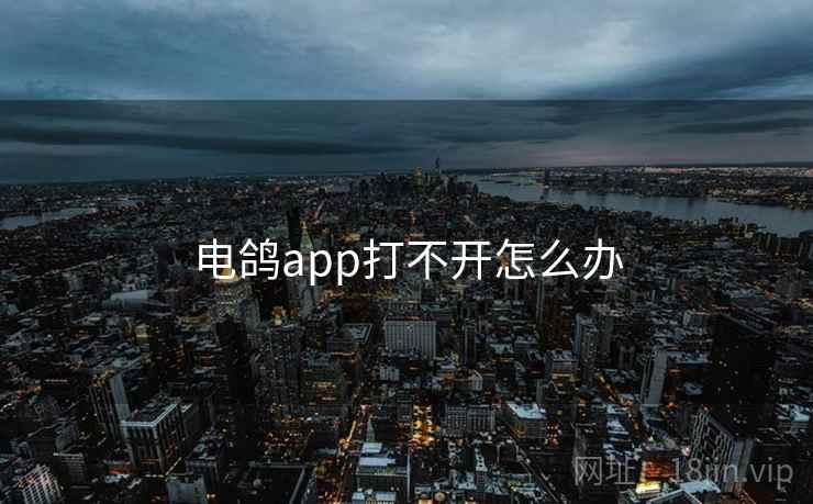 电鸽app打不开怎么办