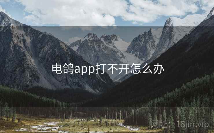 电鸽app打不开怎么办 电鸽app打不开怎么办