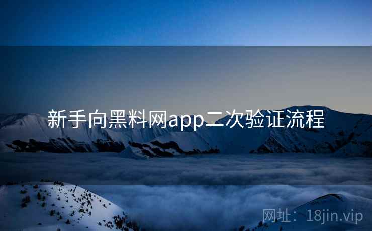 新手向黑料网app二次验证流程