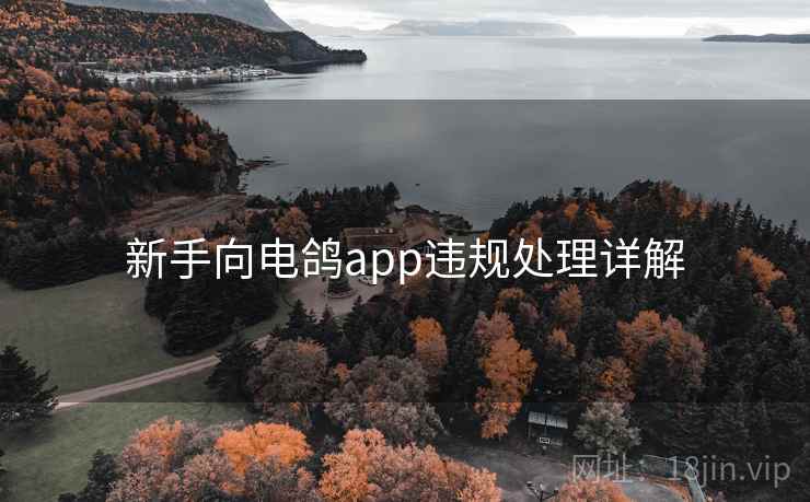 新手向电鸽app违规处理详解