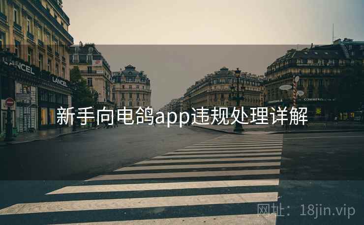 新手向电鸽app违规处理详解 新手向电鸽app违规处理详解