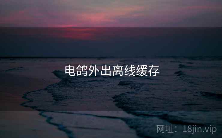电鸽外出离线缓存